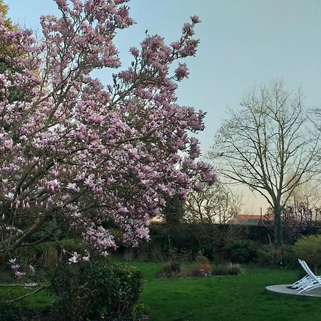 Le Mont Saint Roch , Chambre D'Hotes, B&B Nivelles Luaran gambar